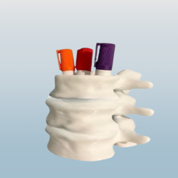 Vertebrae-Inspired Pen...