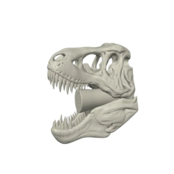T-Rex Shower Head - Fun and Unique Dinosaur Shower Head