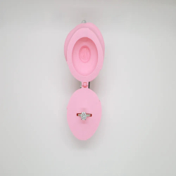Rose Ring Box for Valentine's Day - Plastic | Valentine's Day Special Ring Box