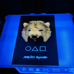 SquidGame Lion Picture Mask Plastic Plate - Unique Lion Plate for Decoration