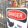 Chicken Danger Sign for Garden – Funny Yard Warning Sign for Chicken Owners