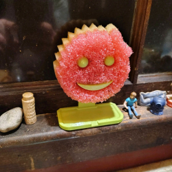 Scrub Sponge Holder – Wall or Sink Mount Plastic Organizer for Smiley Sponges