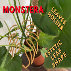 Monstera leaves helper -6 Pcs Plastic Monstera leaves helper Leaf Shape